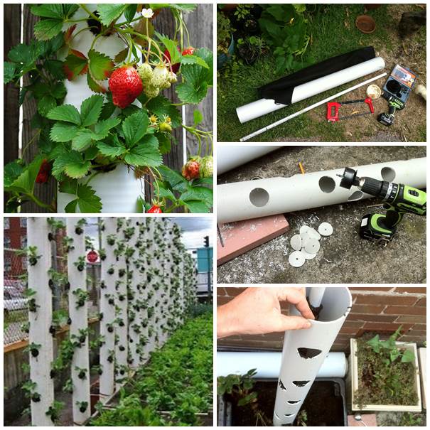 30-Creative-Uses-of-PVC-Pipes-in-Your-Home-and-Garden-5