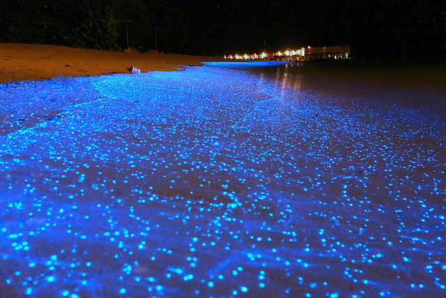 La plage étoilée, Maldives