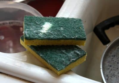 She put her Dirty kitchen Sponge in the Microwave 30 secs latter Something Amazing Happened!!