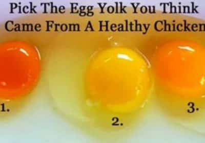 How to know which egg comes from a healthy Chicken