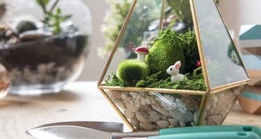 That's How You Make Your Own Terrarium!