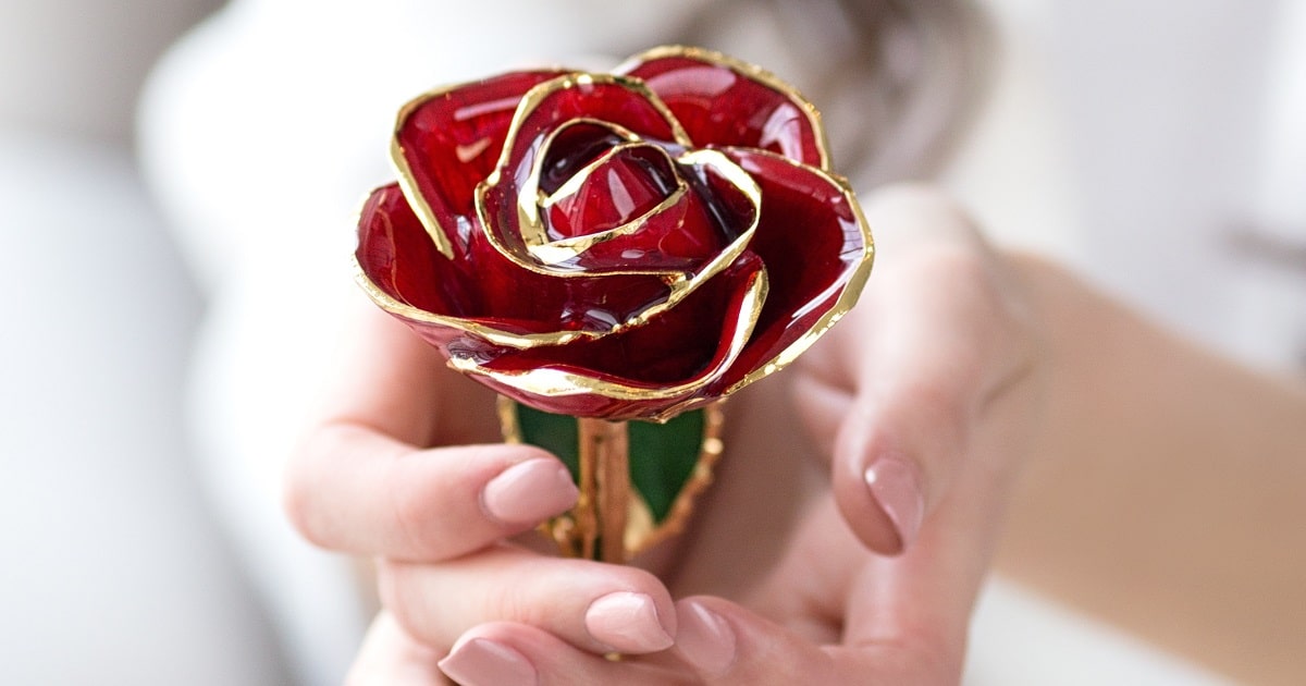 Win a 4K Gold-Dipped or Trimmed Real Rose Worth