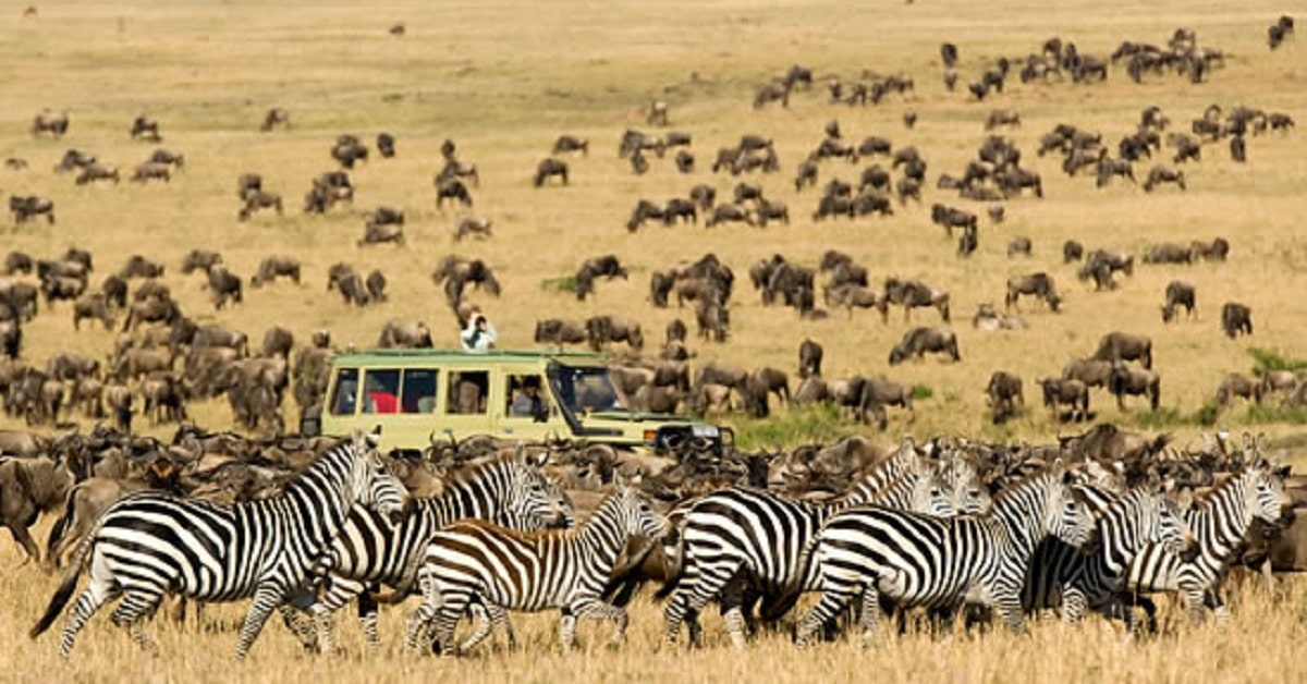 Win a $30K Safari to Kenya & Tanzania for 2!