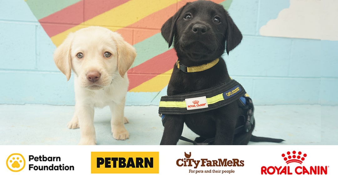 Win a $2000 Petbarn/City Farmers Voucher & 12 months of ROYAL CANIN Dog Food