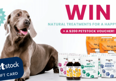 Win the Ultimate Holistic Wellness Bundle For Your Pet
